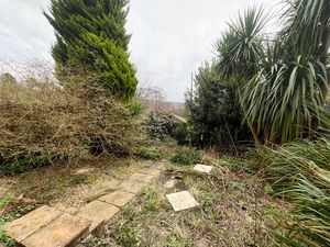 Photo 18- click for photo gallery